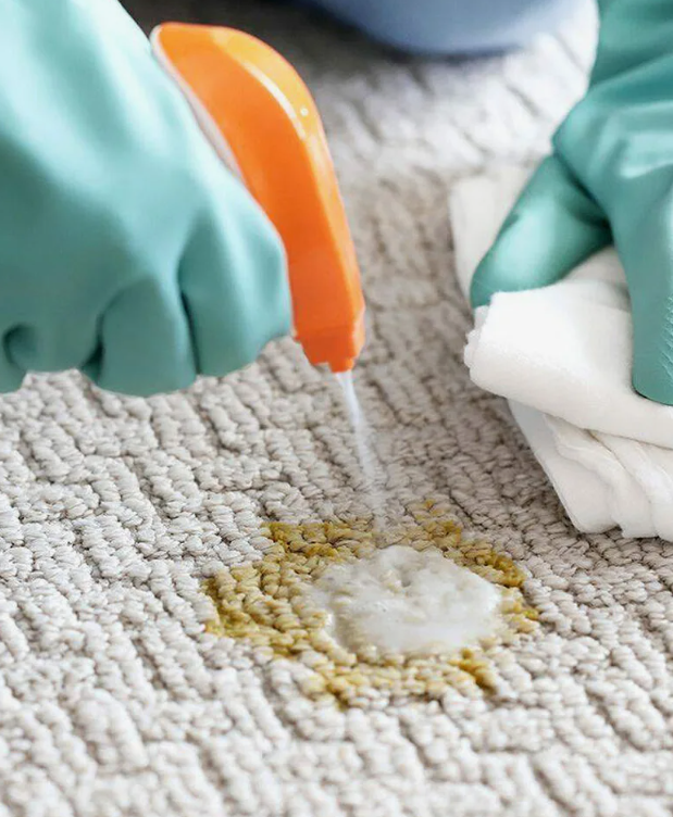 химчистка ковров